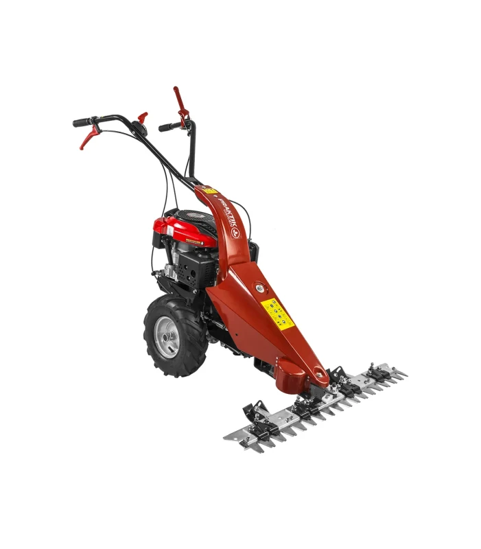 Praktik Garden - Benzinska samohodna strižna kosilica 6,5 KS PG65