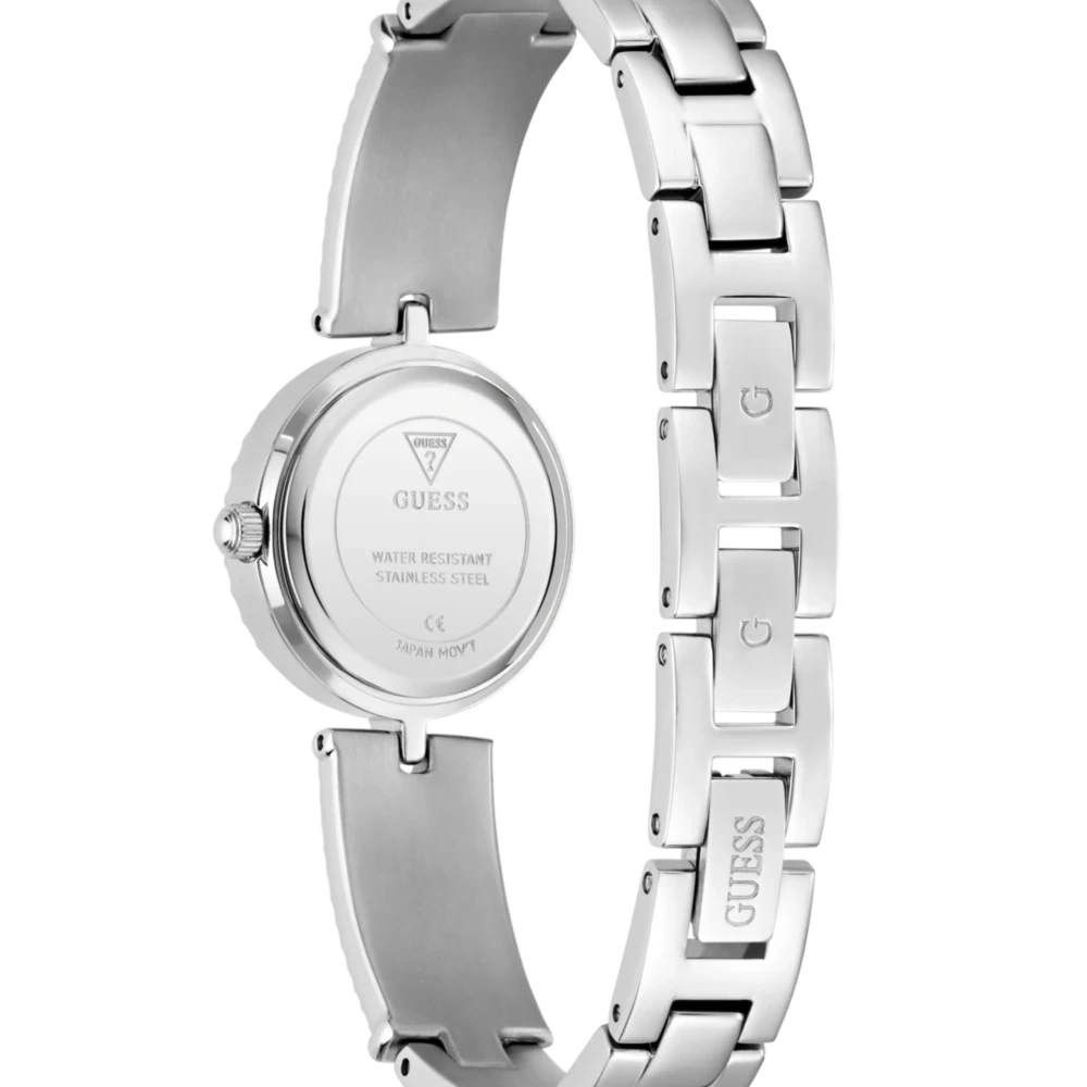 Holly GW1017L1