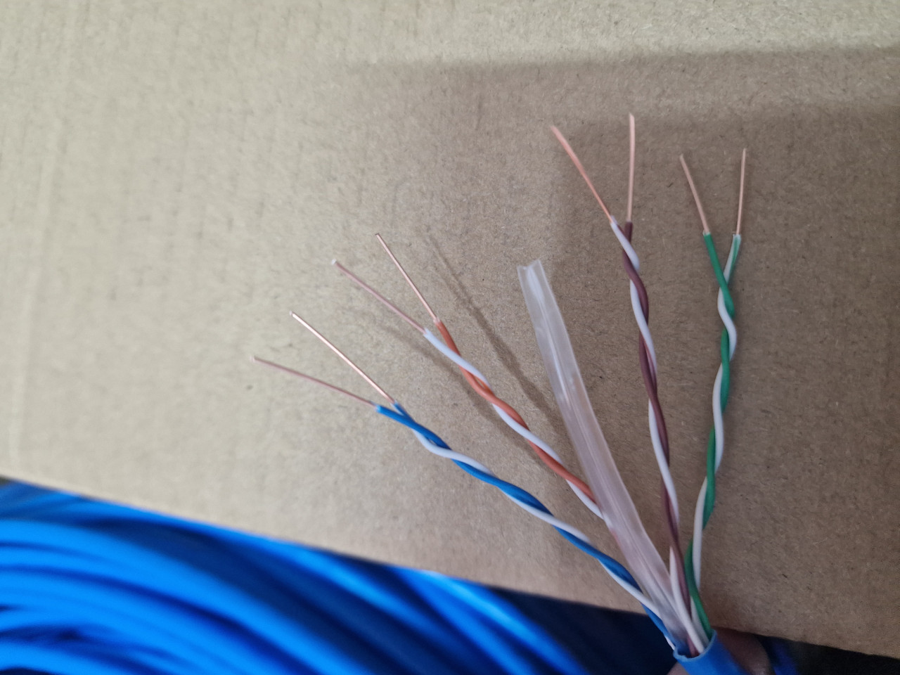 Mrezni Kabal UTP Cat6