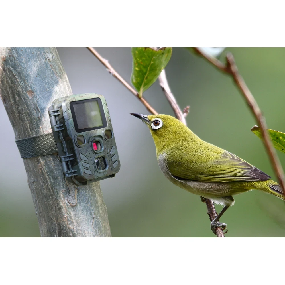 Lovacka Kamera TECHNAXX TX-117 Mini Nature Wild Cam