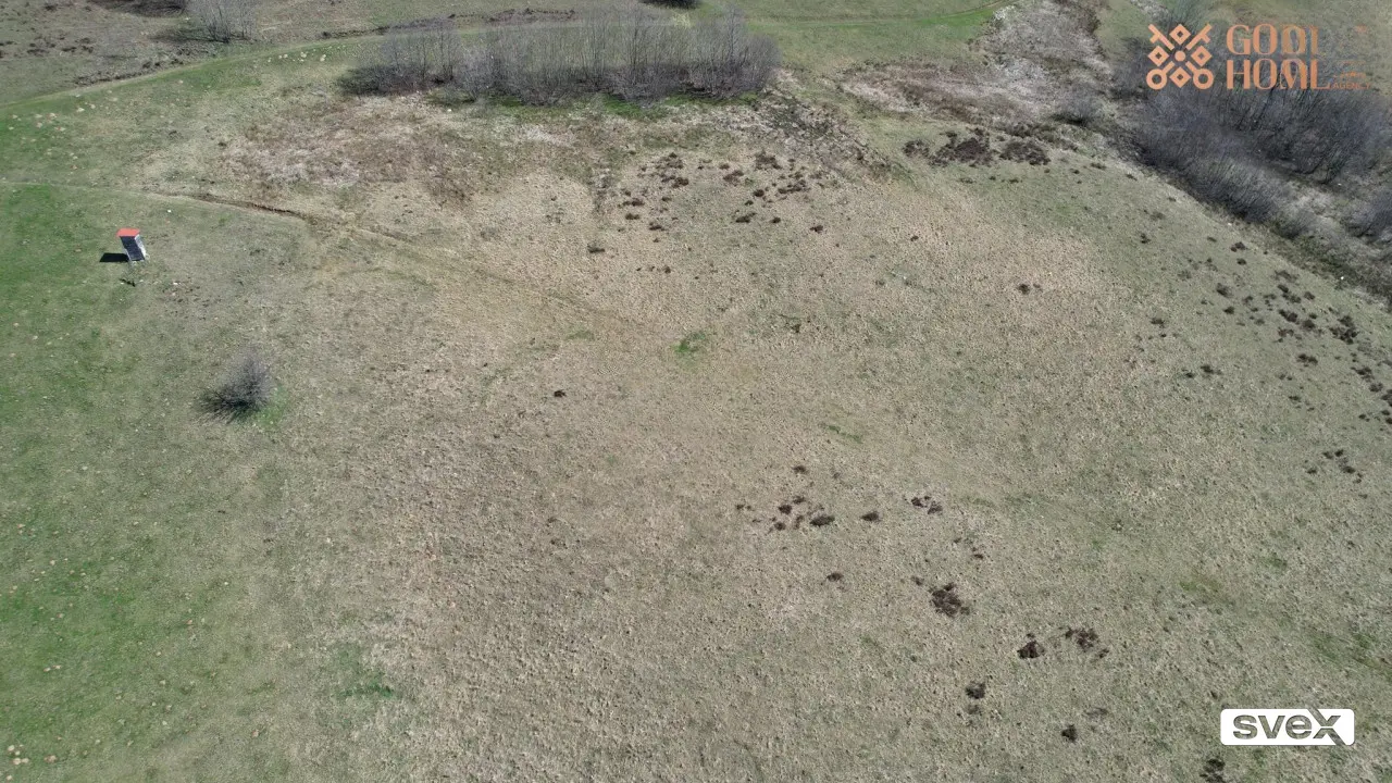 Zemljište na Rostovu 9500 m2