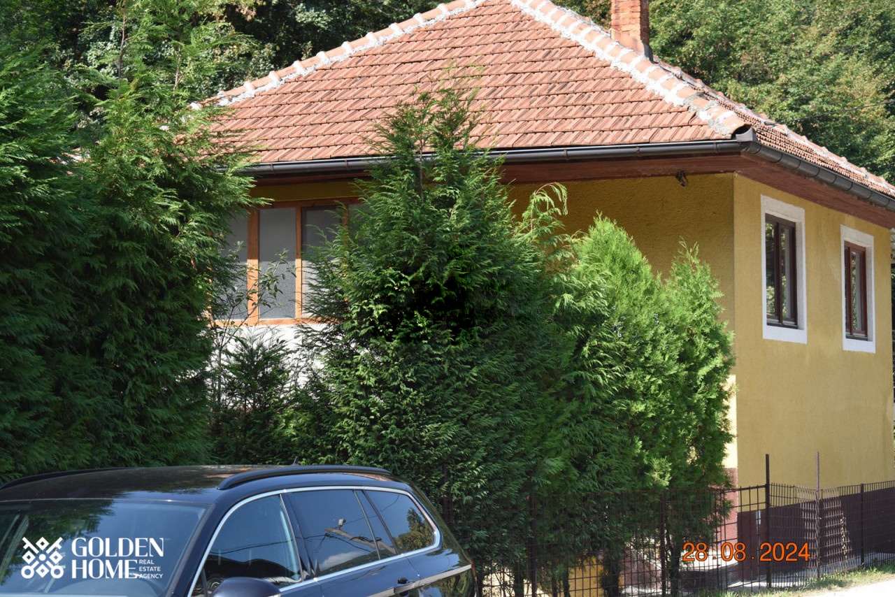 Vinekdica u mjestu Begov Han - Žepče