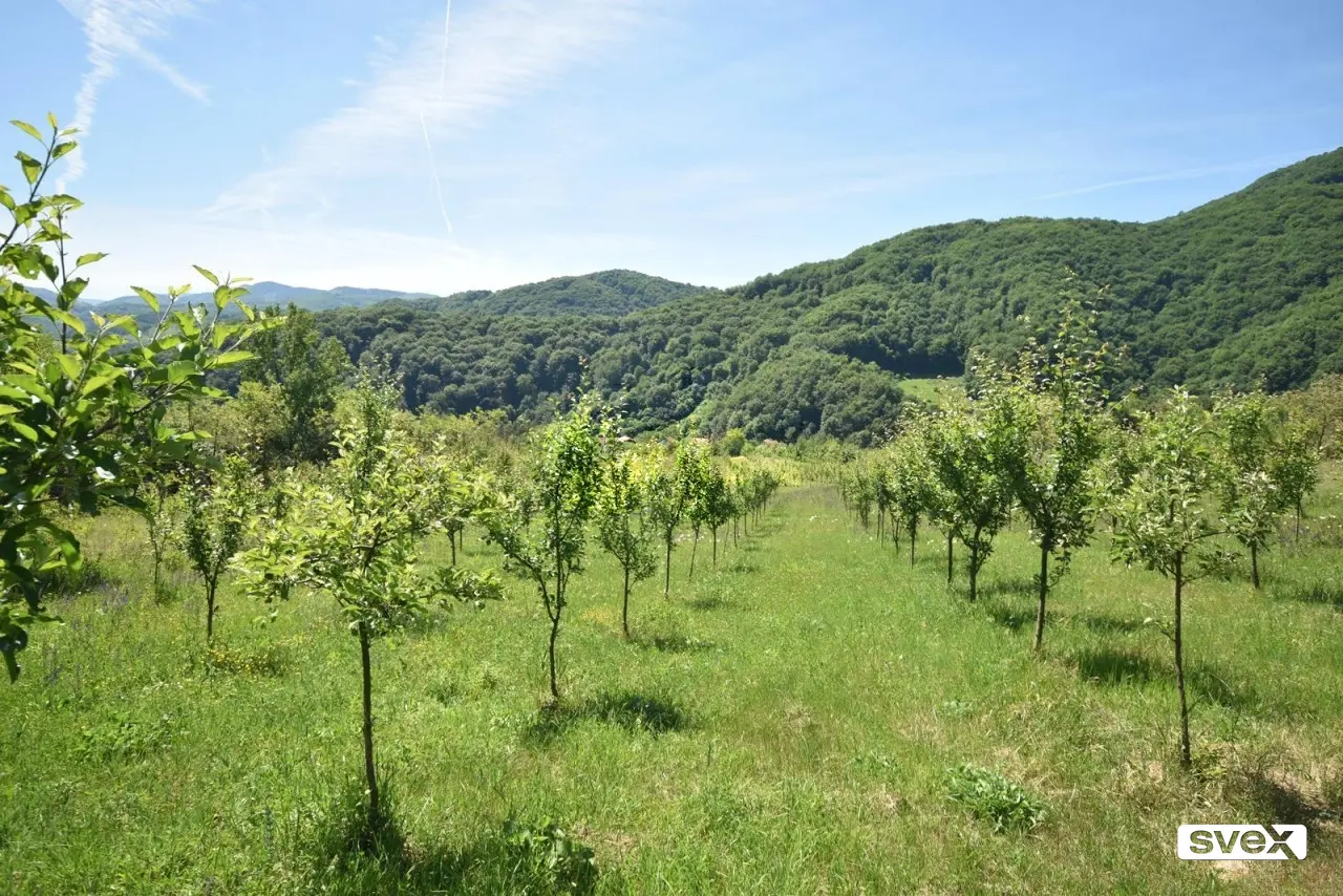 Imanje u naselju Janjac - ZENICA