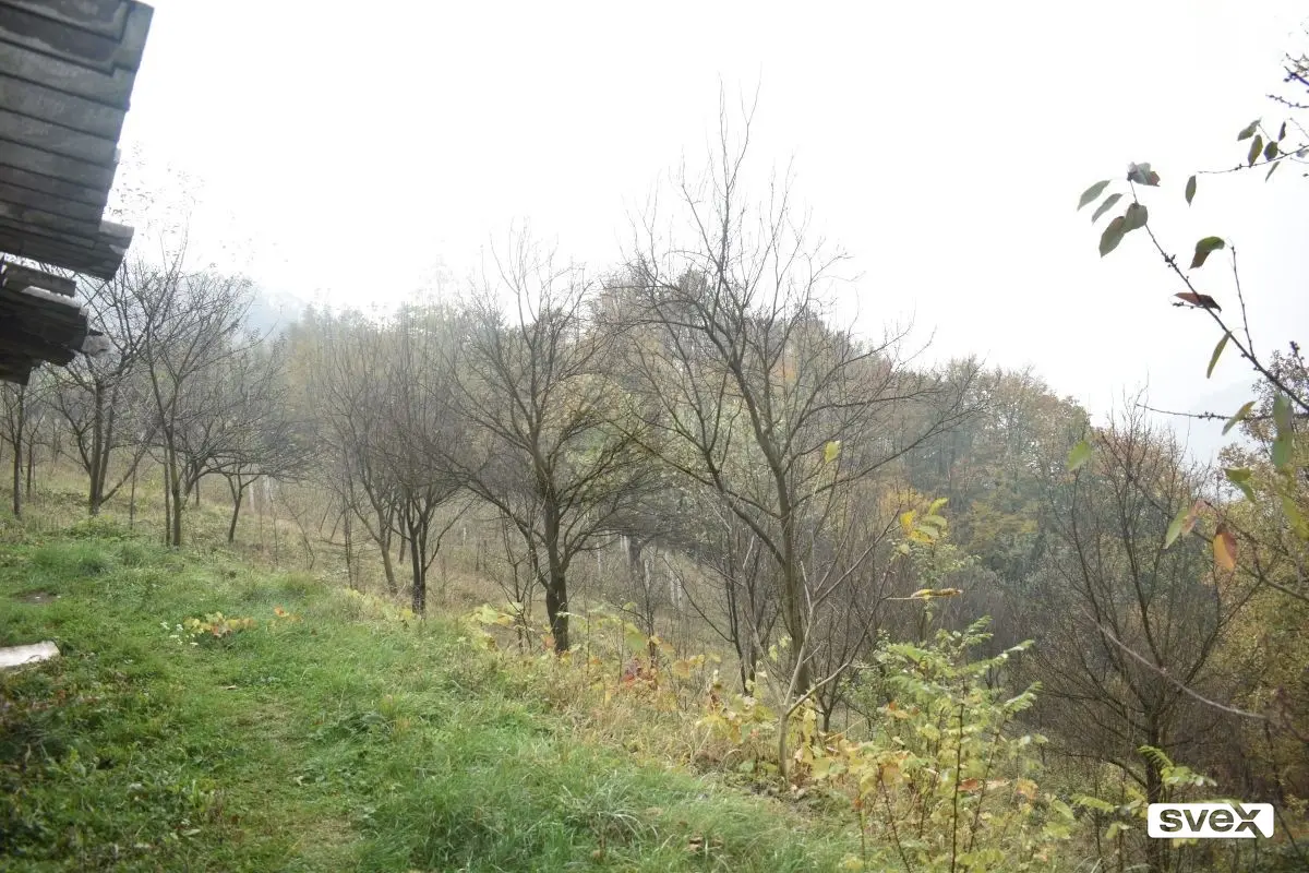 Kuća sa zemljištem u Donjoj Gračanici