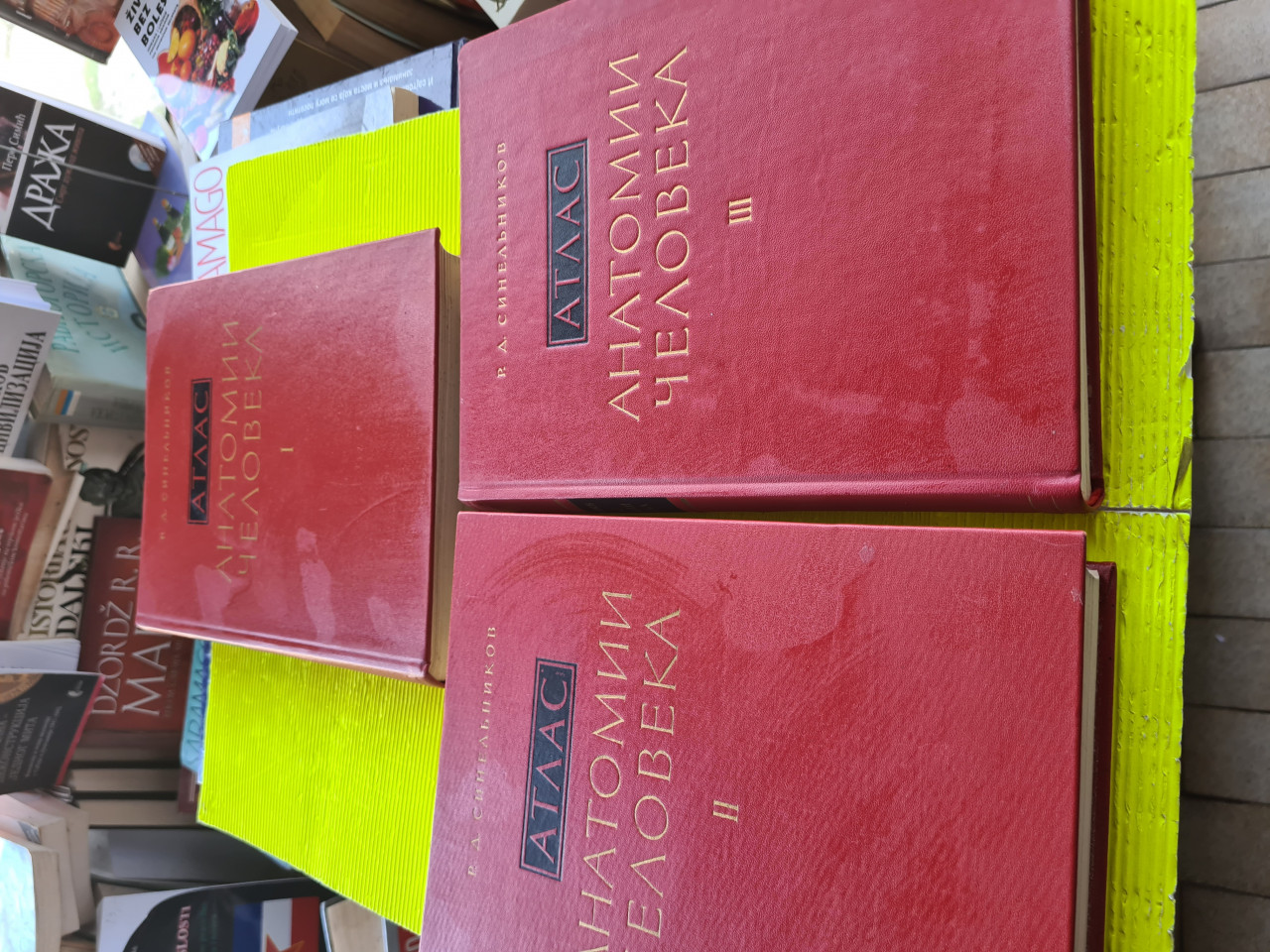 Anatomski atlas , Sineljnikov 1-3