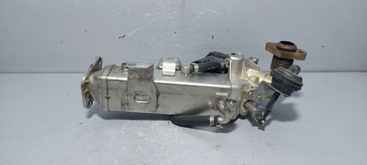 HLADNJAK EGR VENTILA BMW SERIJA 3 (F30/F31) > 11-14 781