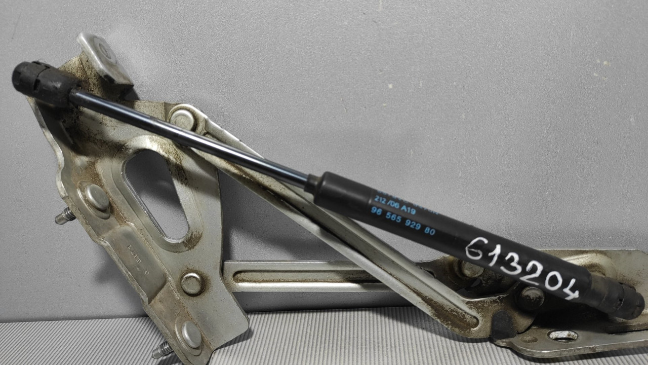 AMORTIZER GEPEKA PEUGEOT 407 > 04-07 9656592980