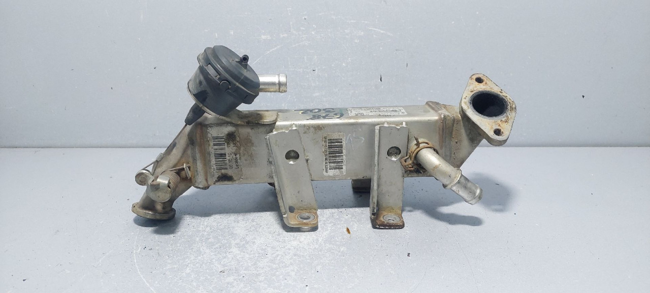 HLADNJAK EGR VENTILA NISSAN PRIMASTAR > 07-15 820071999