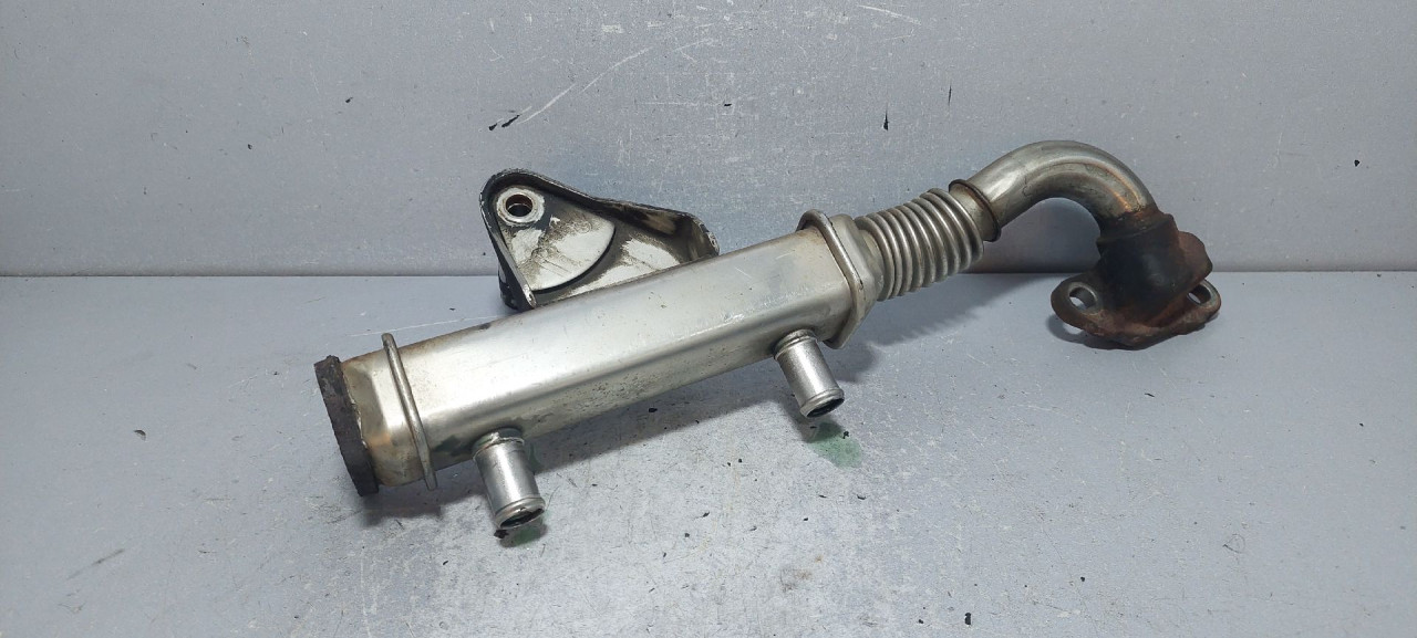 HLADNJAK EGR VENTILA NISSAN NAVARA PATHFINDER > 05-09