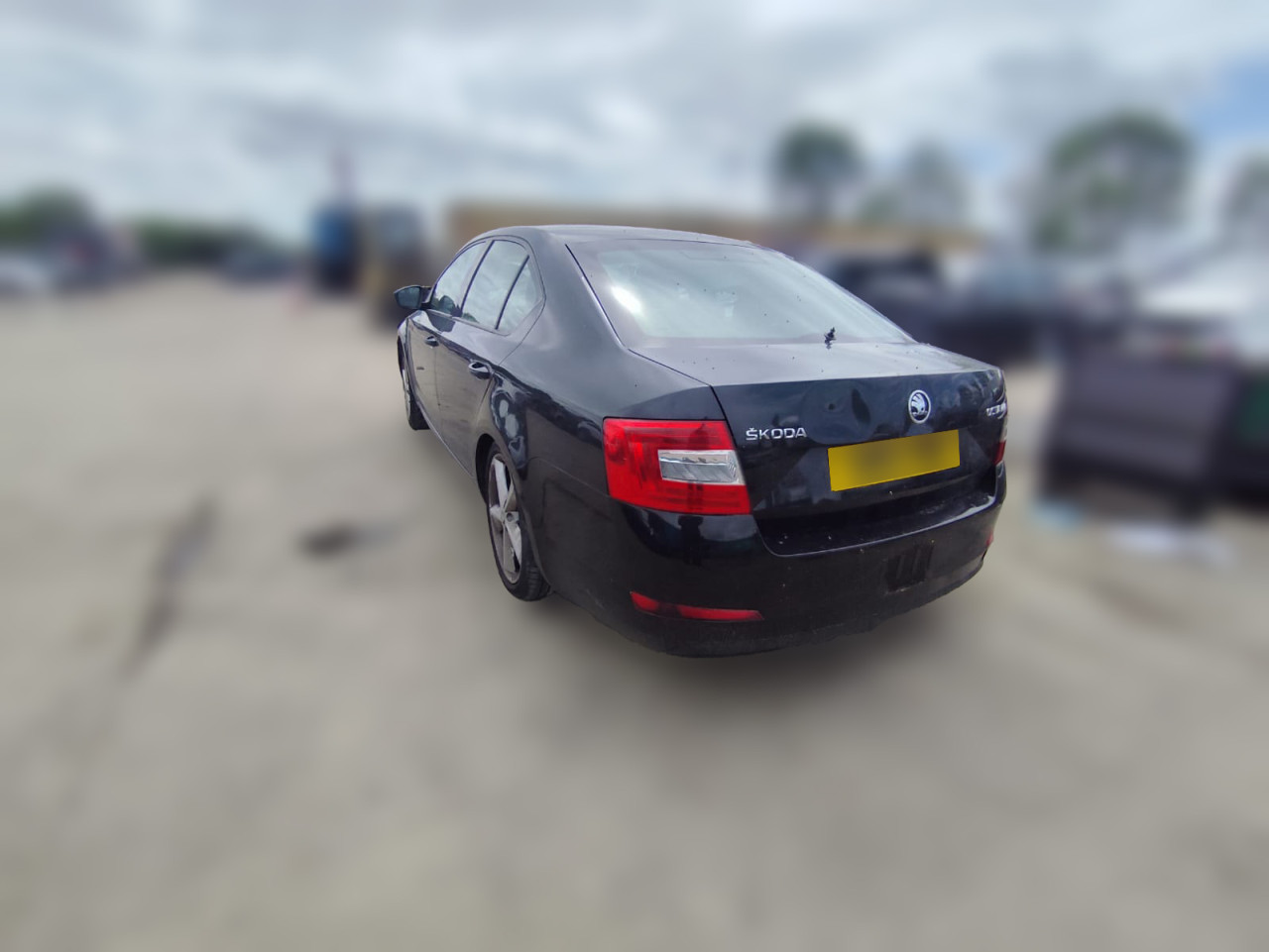 DIJELOVI SKODA OCTAVIA > 13-16 1.6 Dizel CLHA MOTOR