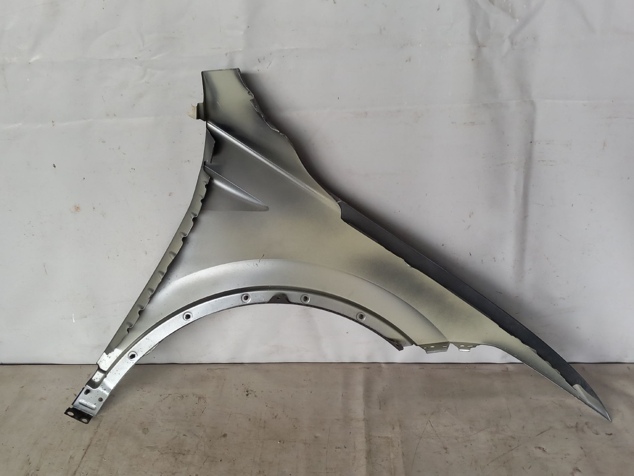 DIJELOVI BLATOBRAN VW TIGUAN > 20- 5NA821105E