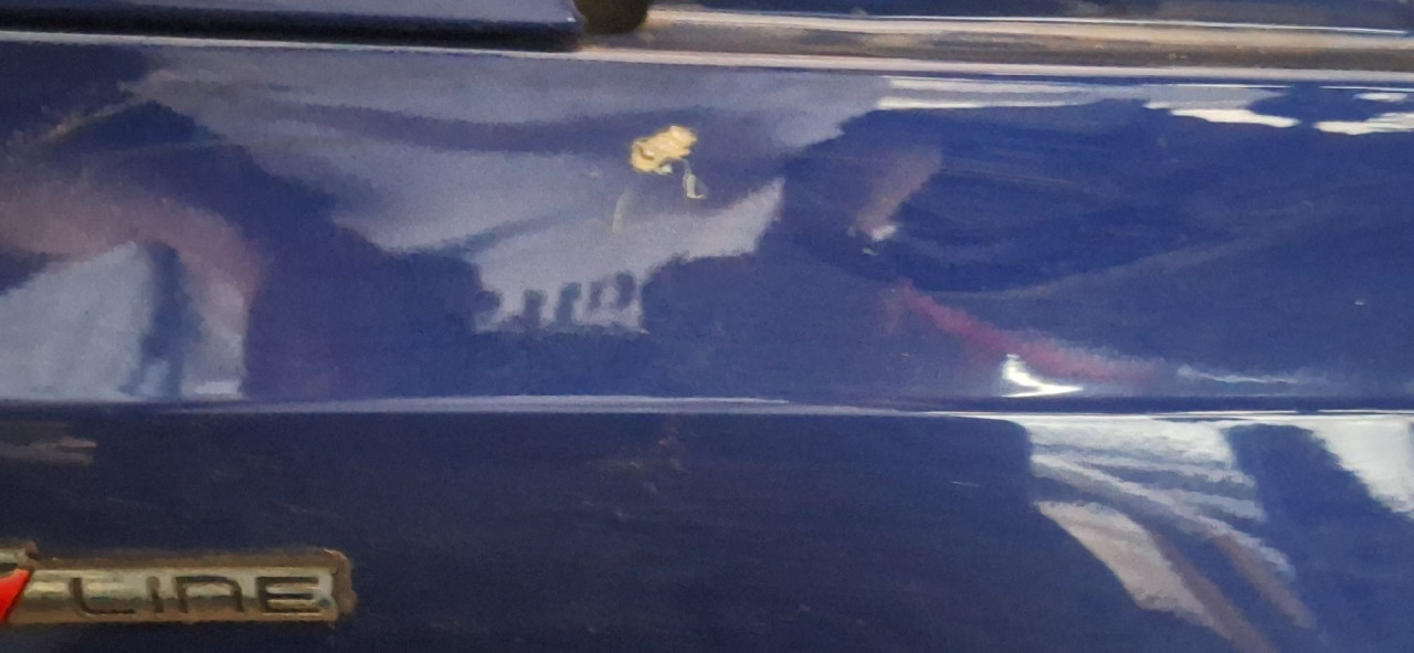 DIJELOVI BLATOBRAN PEUGEOT 308 > 17-21 9802164280