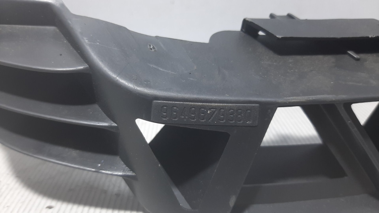 PLASTIKA BRANIKA PEUGEOT 207 > 06-09 1859870016