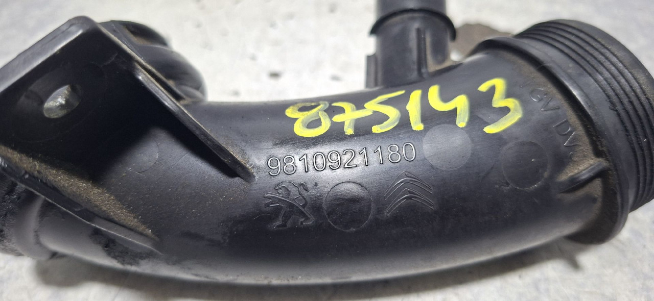 DIJELOVI CRIJEVO PEUGEOT 308 > 17-21 1.5 9810921180