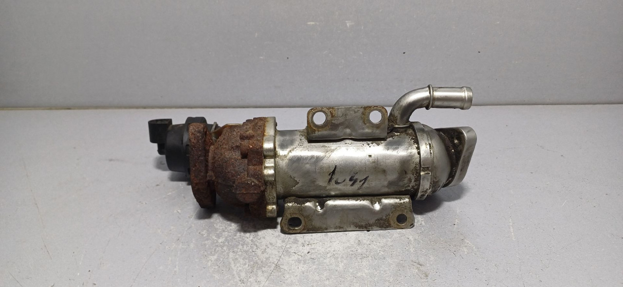 HLADNJAK EGR VENTILA NISSAN PRIMASTAR > 07-15 8200340616