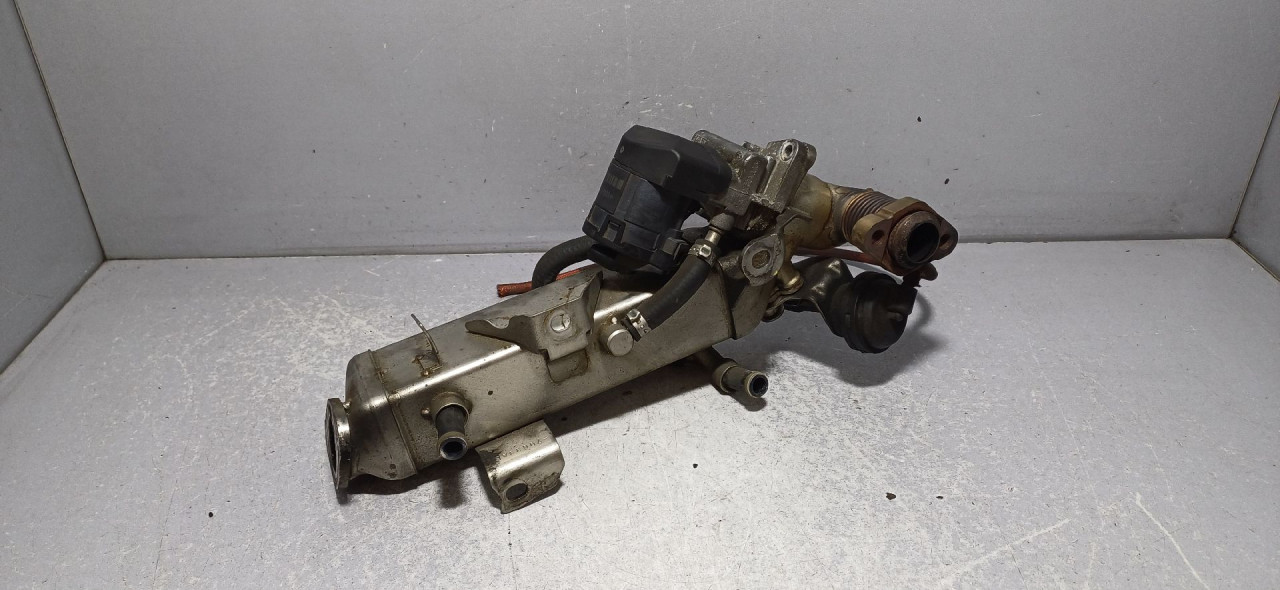 HLADNJAK EGR VENTILA BMW SERIJA 5 (F10/F11) > 10-13 781