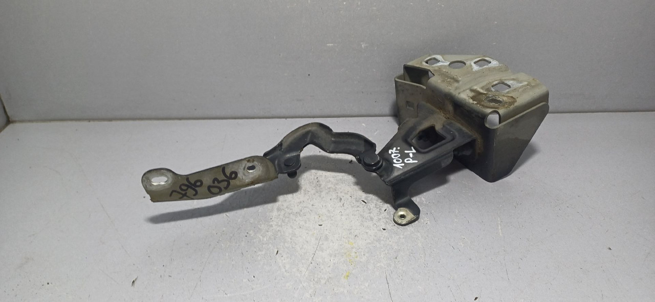 SKARE OD HAUBE RENAULT TRAFIC > 14- 654010249R
