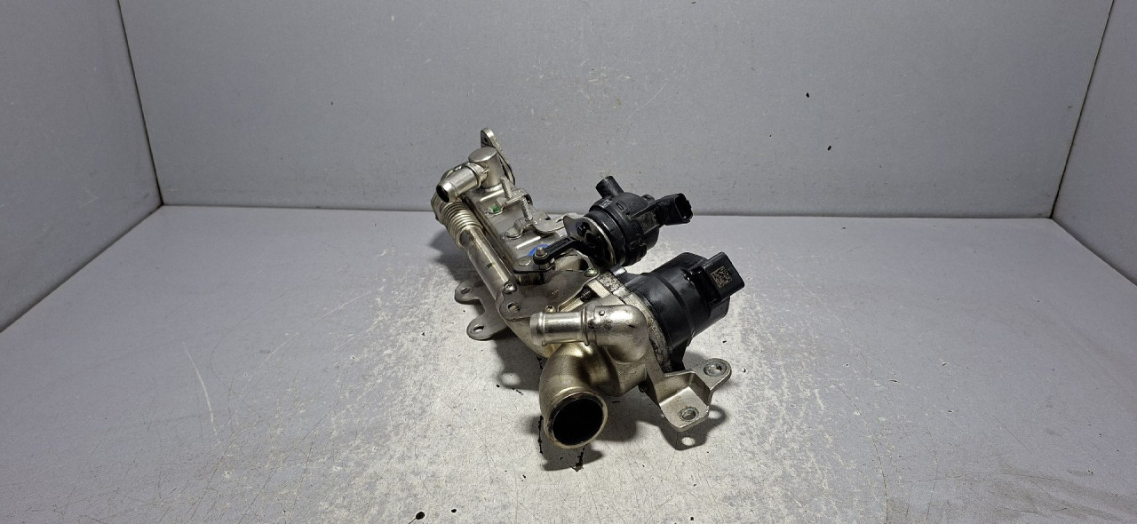 DIJELOVI EGR LAND ROVER DEFENDER (L663) > 19- 8480R1005