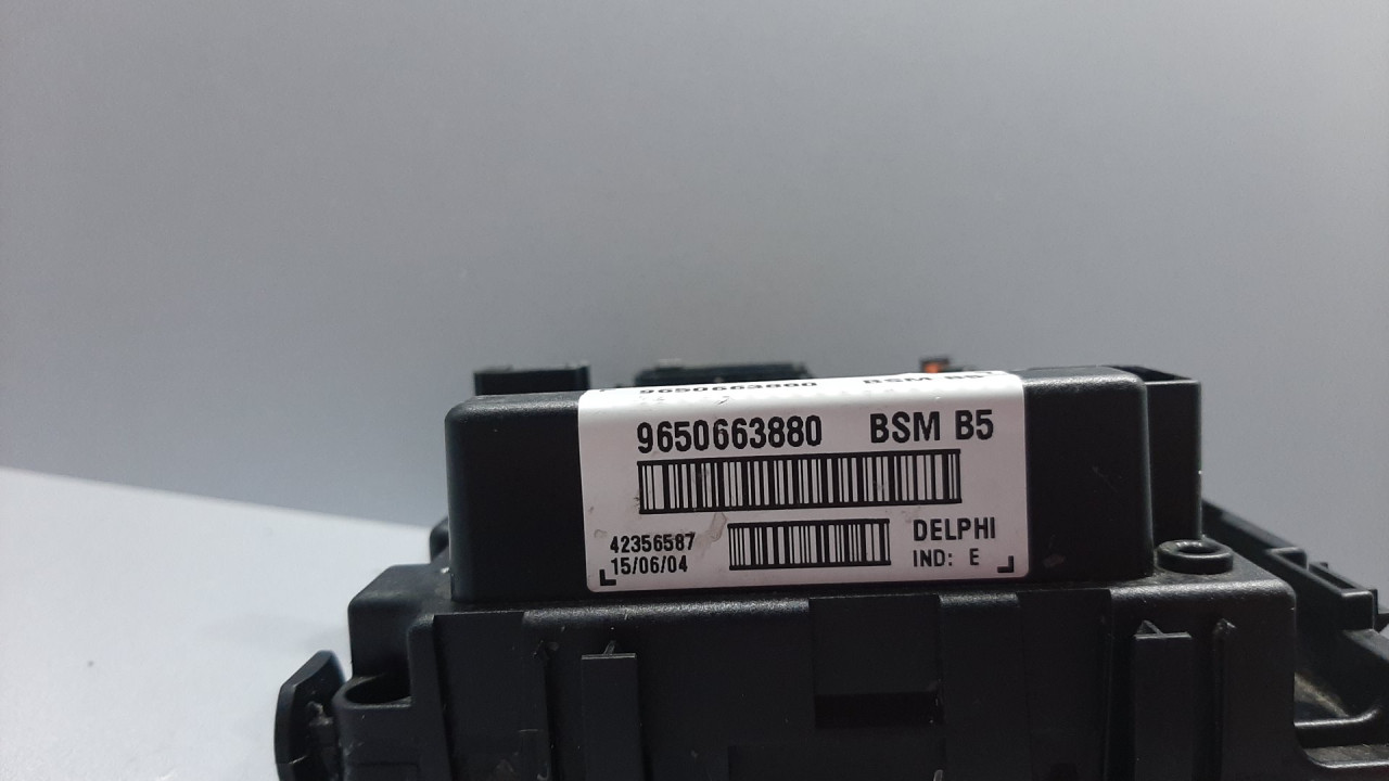 ELEKTRONIKA MODUL PEUGEOT 206 > 98-09 9650663880