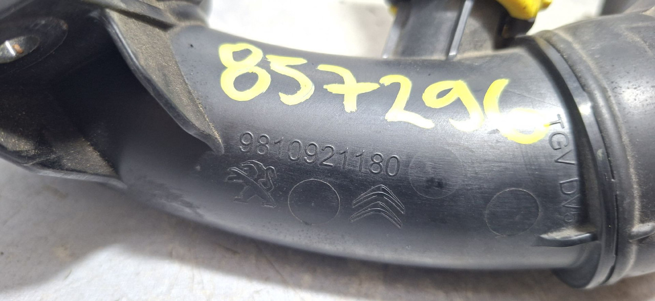 DIJELOVI CRIJEVO PEUGEOT 308 > 17-21 1.5 9810921180