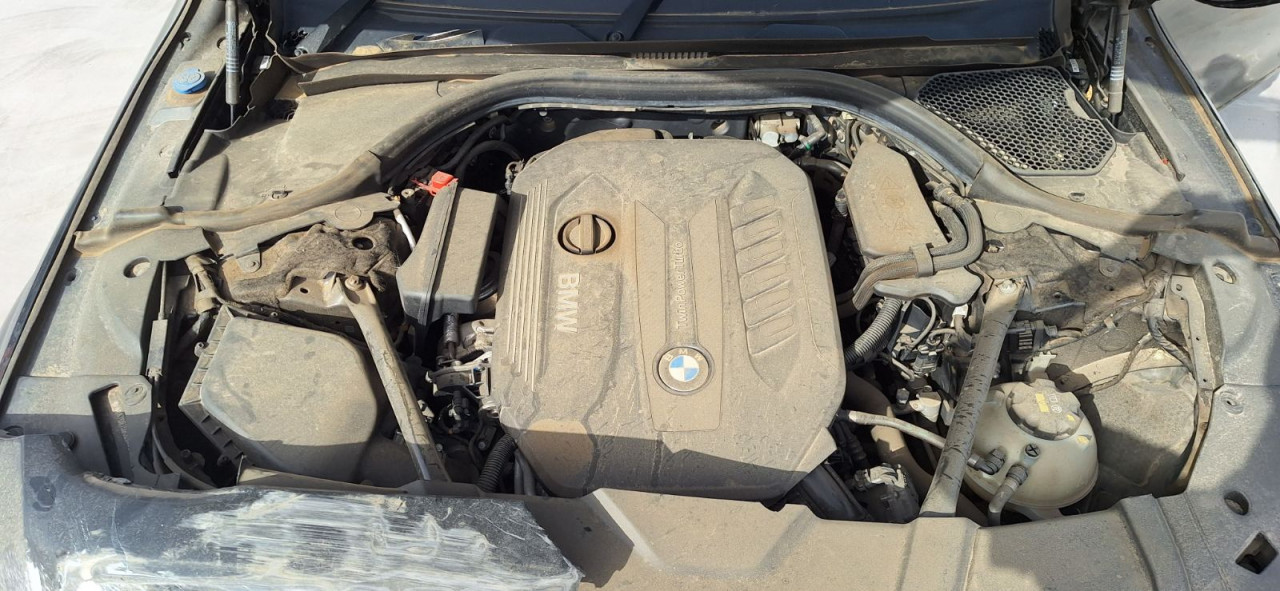 DIJELOVI BMW SERIJA 7 (G11/G12) > 15-19 3.0 Dizel B57D30T0 MOTOR