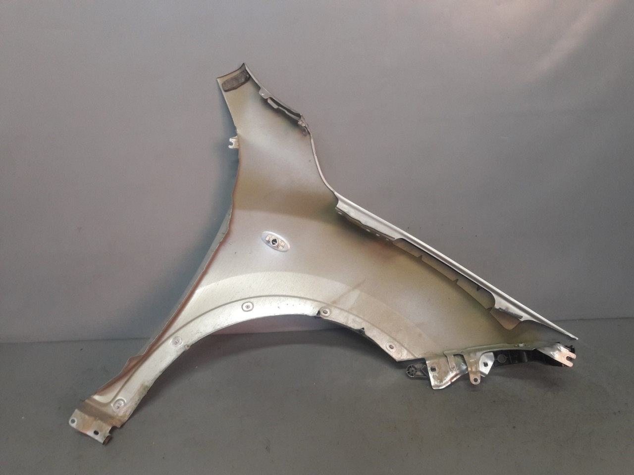 DIJELOVI BLATOBRAN NISSAN JUKE > 11-14 DS700011
