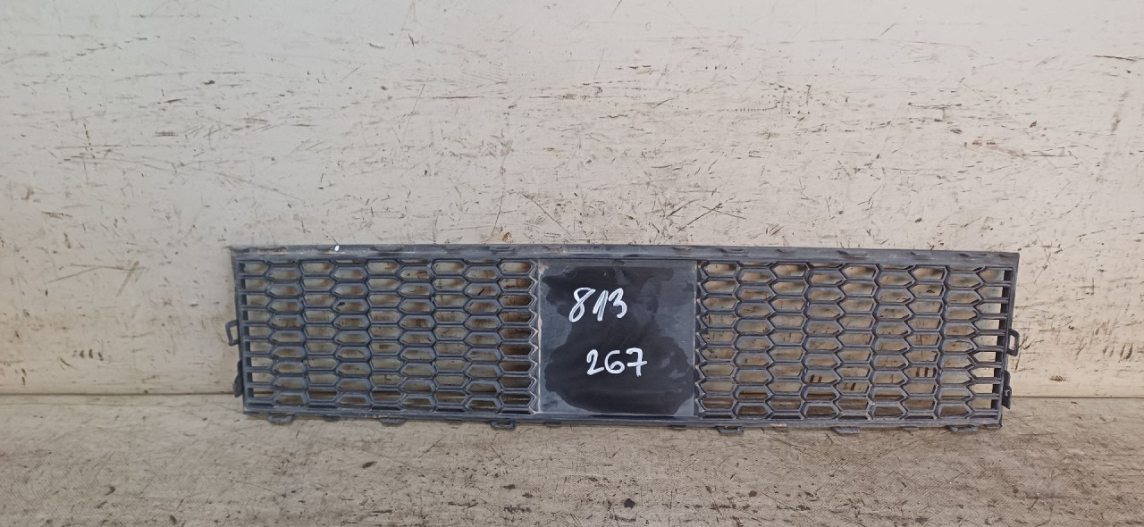RESETKA BRANIKA BMW SERIJA 5 (F10/F11) > 13-16 7903901