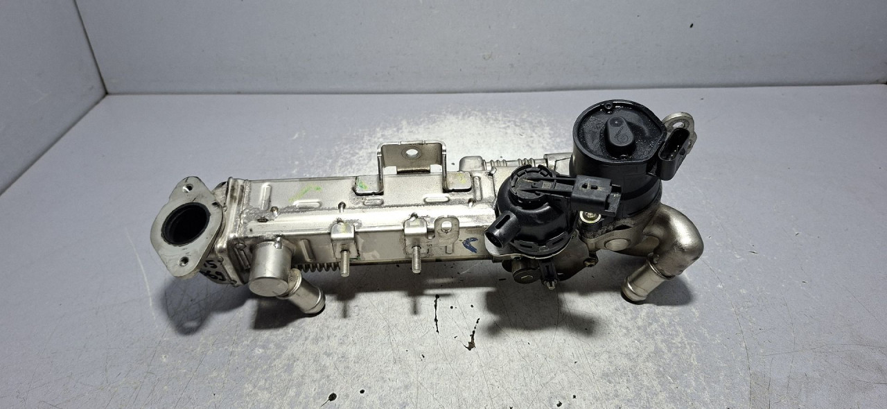 DIJELOVI EGR LAND ROVER DEFENDER (L663) > 19- 8480R1005