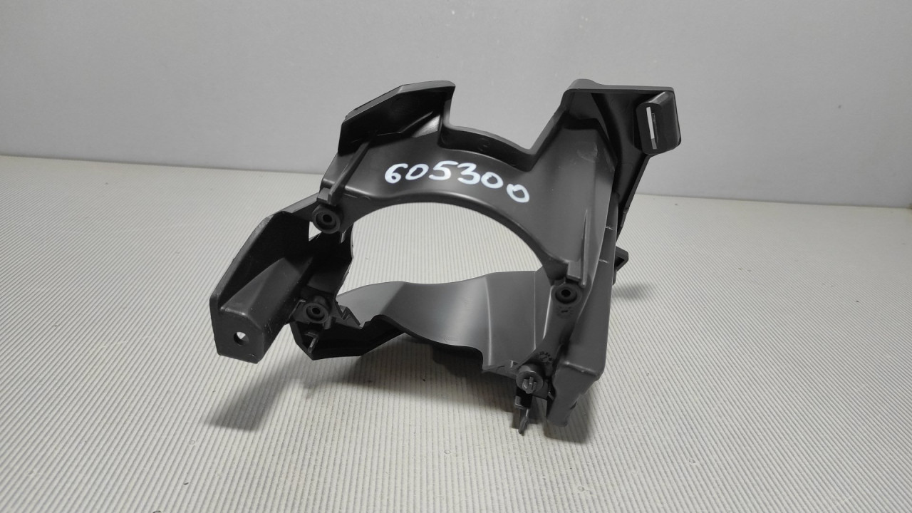 PLASTIKA BRANIKA RENAULT KANGOO > 13-20 269162627R