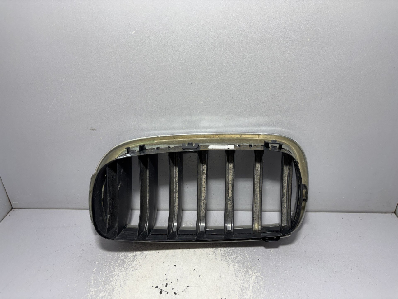 RESETKA BRANIKA BMW X5 (F15) M-TECH > 13-18 7316076