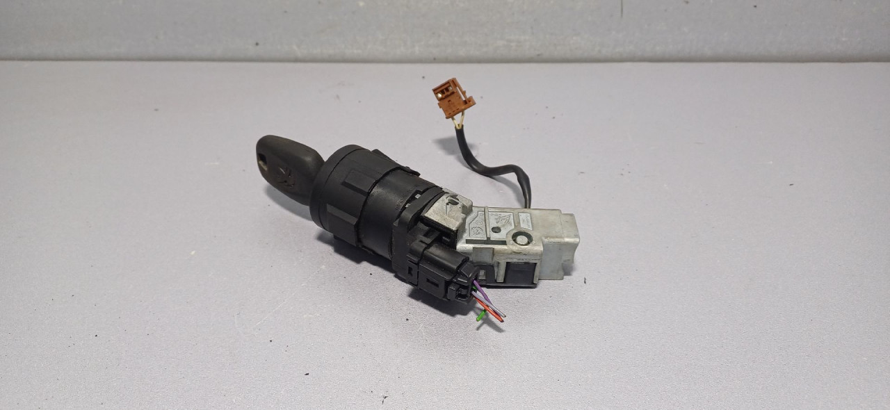 BRAVA PALJENJA CITROEN C5 > 08-10 9663123380