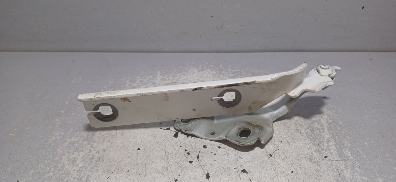 SKARE OD HAUBE AUDI A3 (8Y) > 20 -  8Y0823301B