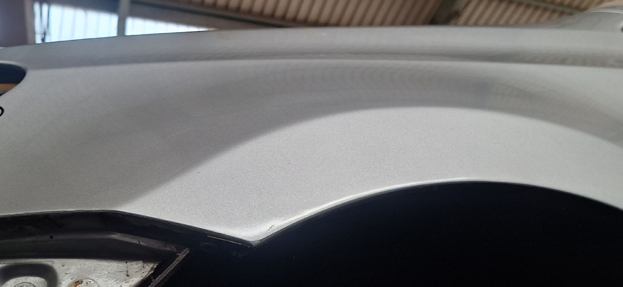 DIJELOVI BLATOBRAN VW POLO > 09-14 6R0821105H