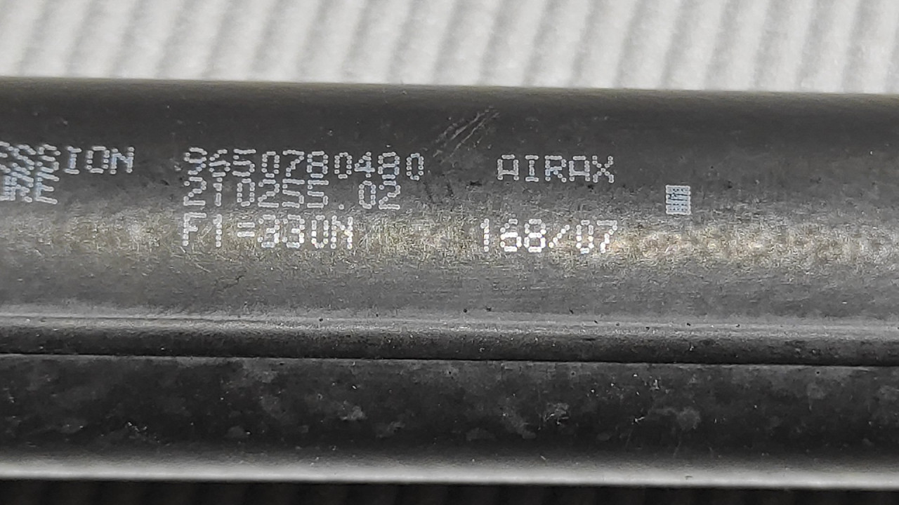 AMORTIZER GEPEKA PEUGEOT 207 > 06-09 9650780480