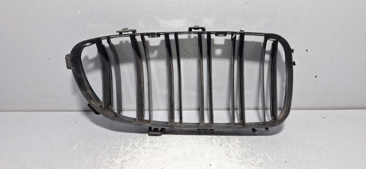 RESETKA BRANIKA BMW SERIJA 5 (F10/F11) M-TECH > 13-16