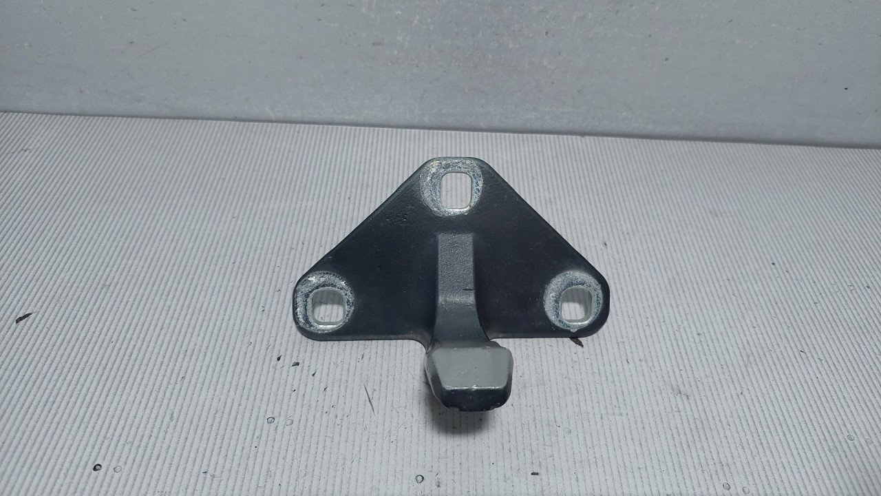 BAGLAMA GEPEKA BMW X5 (E70) > 07-10 41627170918