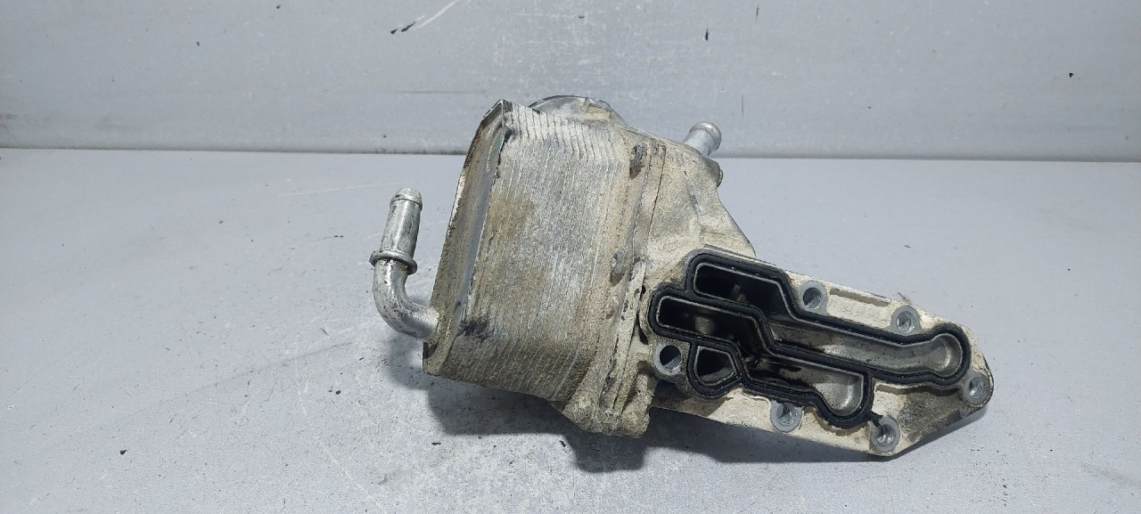 HLADNJAK ULJA FORD RANGER > 16- 5989070203