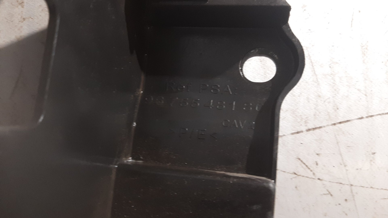 PLASTIKA BRANIKA PEUGEOT 508 > 11-14 9675548180