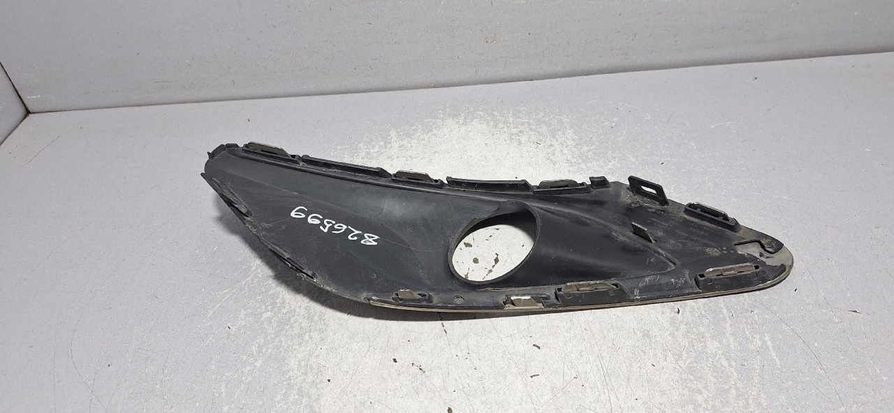 PLASTIKA BRANIKA PEUGEOT 308 > 13-17 AA36137000