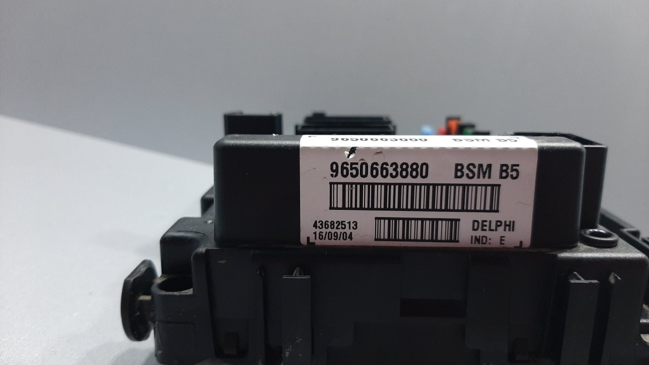 ELEKTRONIKA MODUL PEUGEOT 206 > 98-09 9650663880