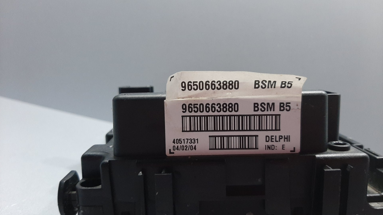 ELEKTRONIKA MODUL PEUGEOT 206 > 98-09 9650663880