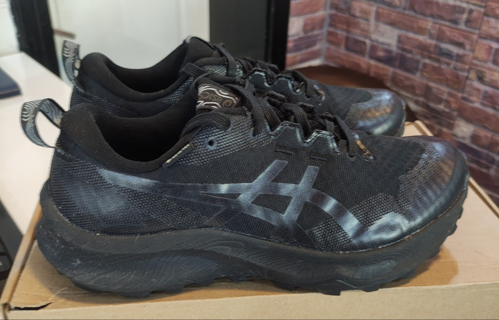 Patike ASICS GORE-TEX Vel.42,5 Original