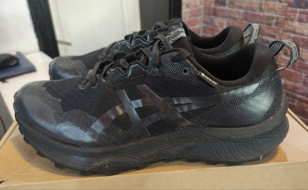 Patike ASICS GORE-TEX Vel.42,5 Original