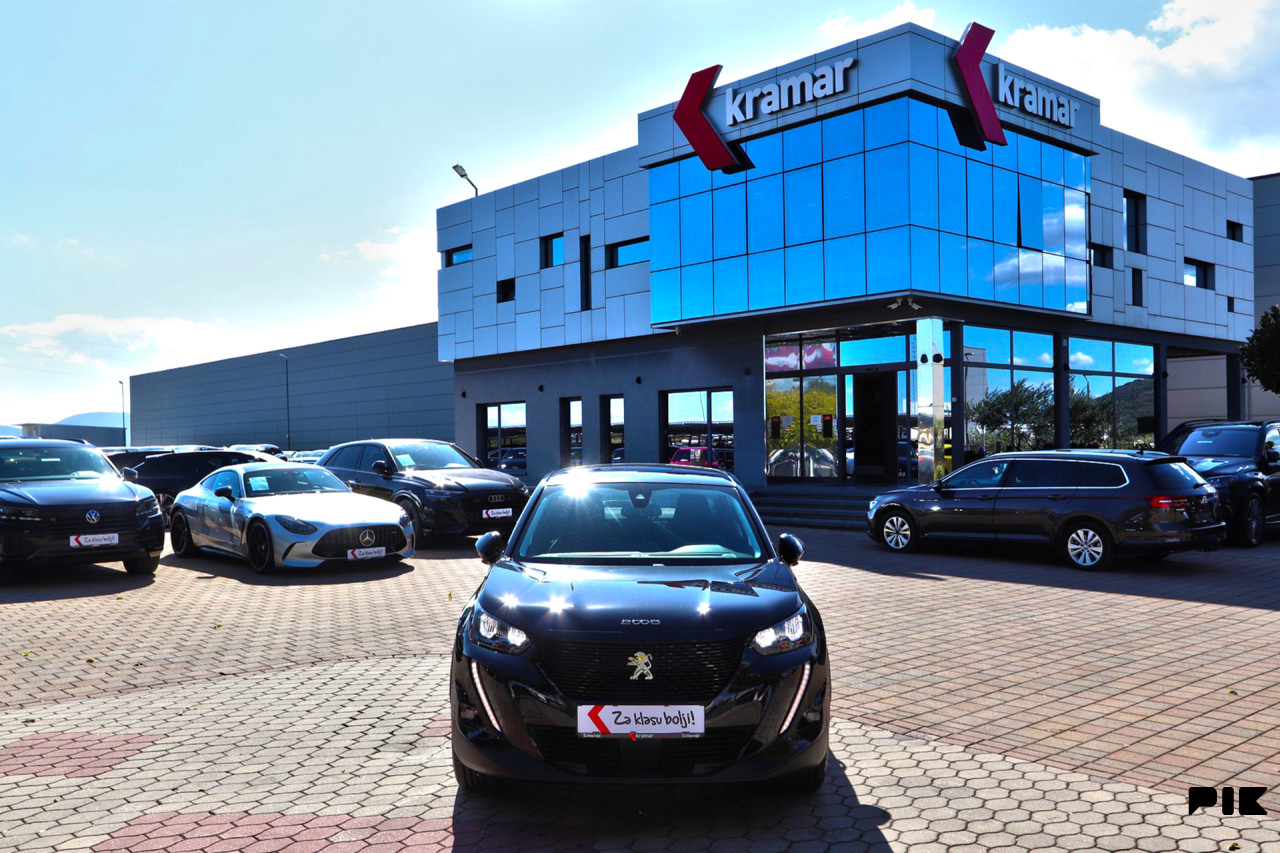 Peugeot 2008 BlueHDI 110 KS Active Business - Full LED -