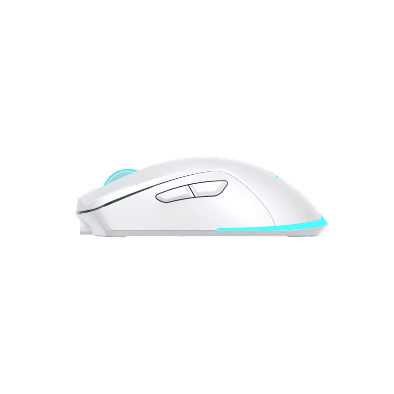 Wireless BARACUDA MIS BGM-122 TURTLE Bijeli