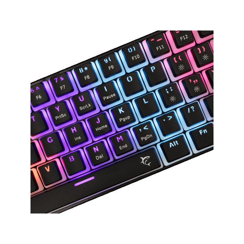 Tastatura White Shark GK-2202 ASHIKO-2 Crna / Blue Sw