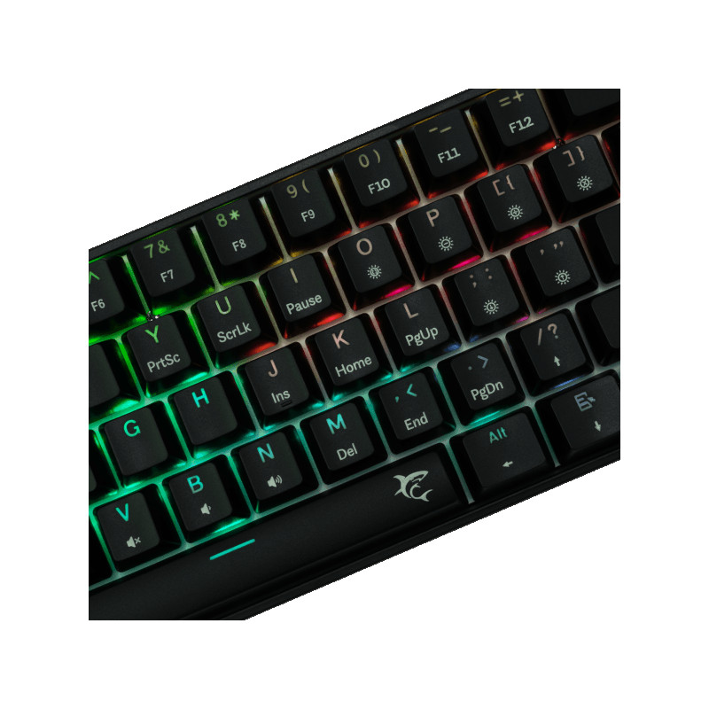 MEHANICKA Tastatura White Shark GK-004131 SHINOBI-2 Crna Brown.Sw