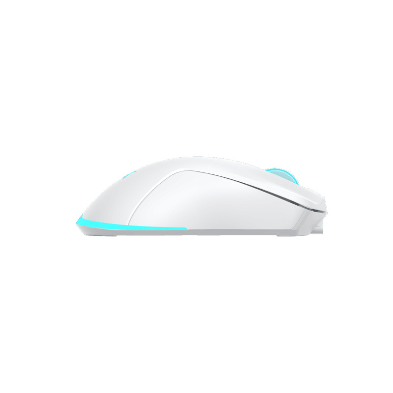 Wireless BARACUDA MIS BGM-122 TURTLE Bijeli