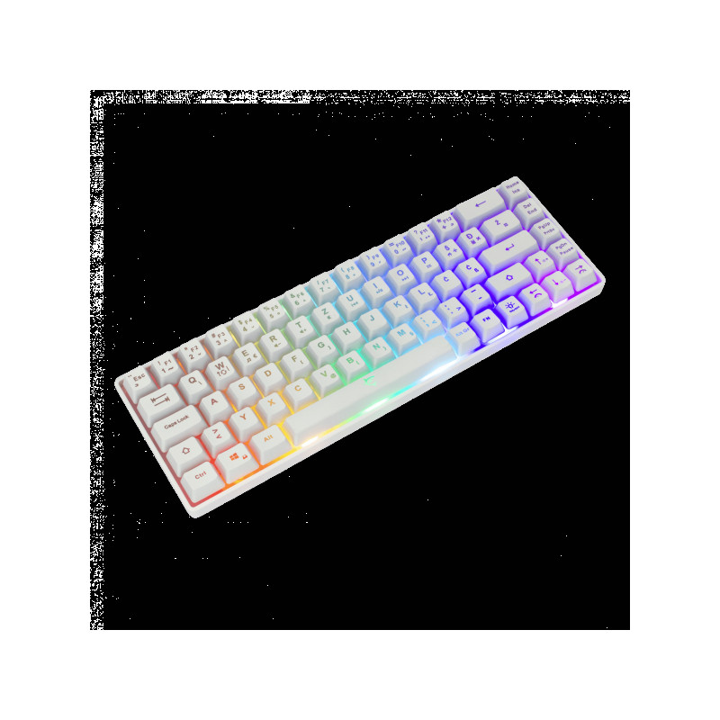 Tastatura White Shark GK-2201 RONIN Bijela
