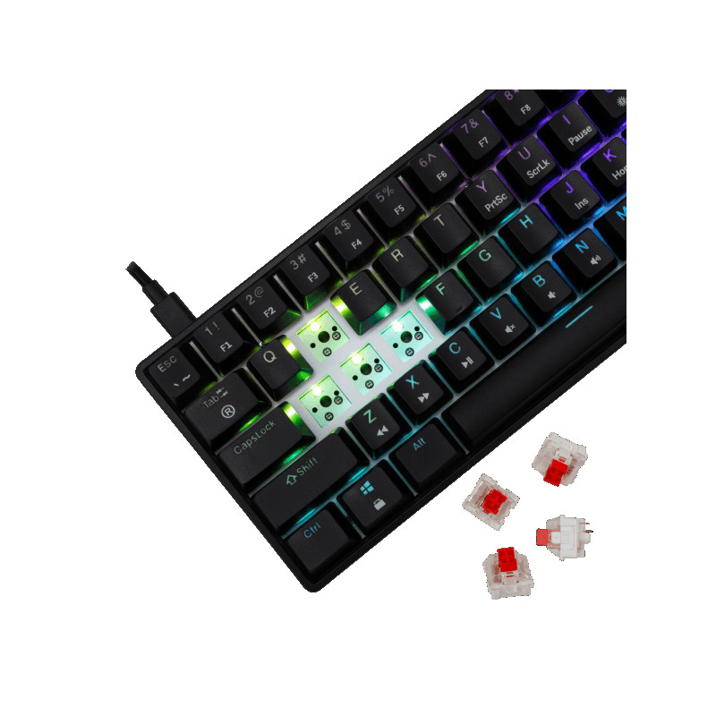 Tastatura White Shark GK-004111 SHINOBI-2 Crna Red.Sw
